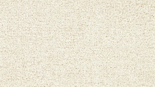 Kauri 312952